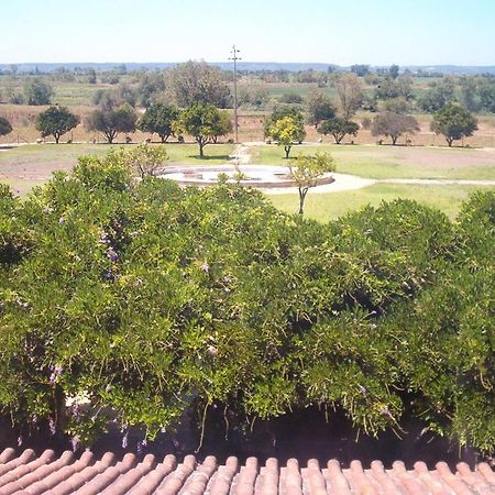 Quinta Do Casalinho Guest House Almeirim Exterior photo