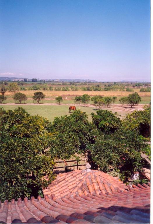 Quinta Do Casalinho Guest House Almeirim Room photo