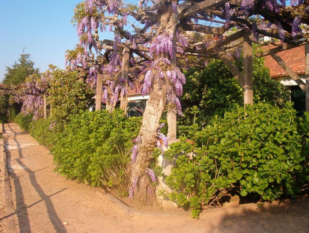 Quinta Do Casalinho Guest House Almeirim Exterior photo