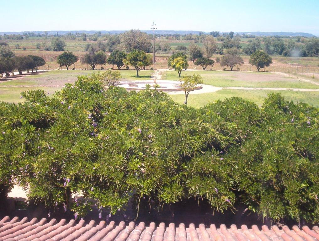 Quinta Do Casalinho Guest House Almeirim Exterior photo