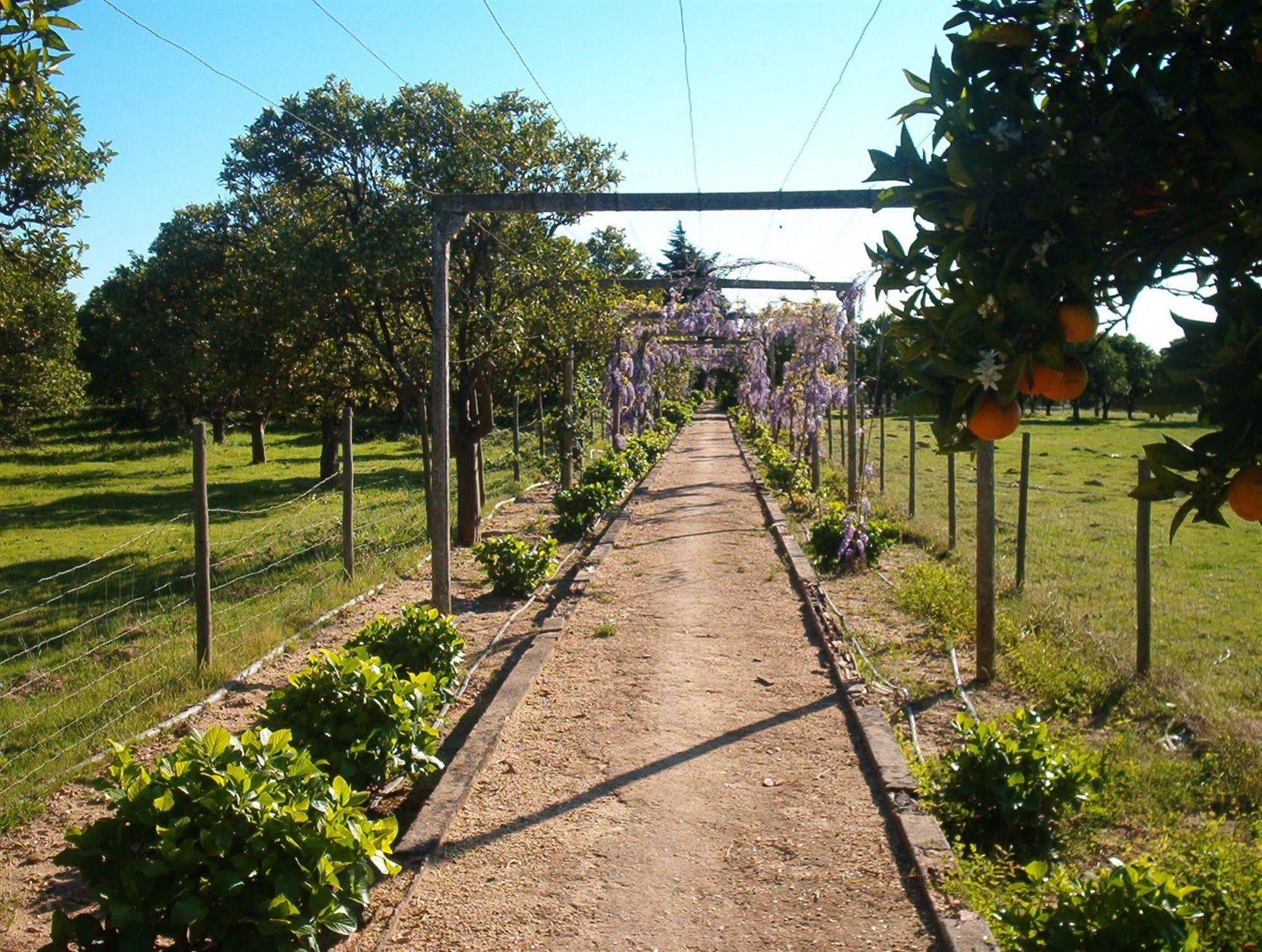 Quinta Do Casalinho Guest House Almeirim Exterior photo